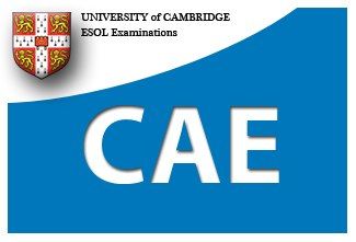 CAE Certification logi